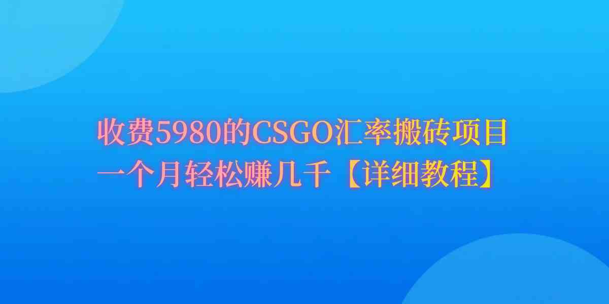 （9776期）CSGO装备搬砖，月综合收益率高达60%，你也可以！-千帆网赚