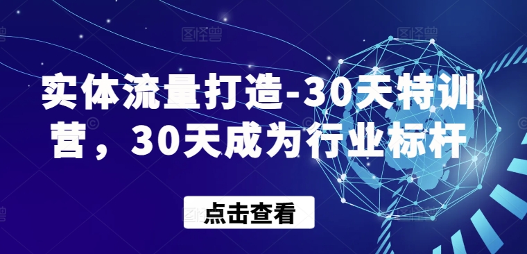 实体流量打造-30天特训营，30天成为行业标杆-千帆网赚
