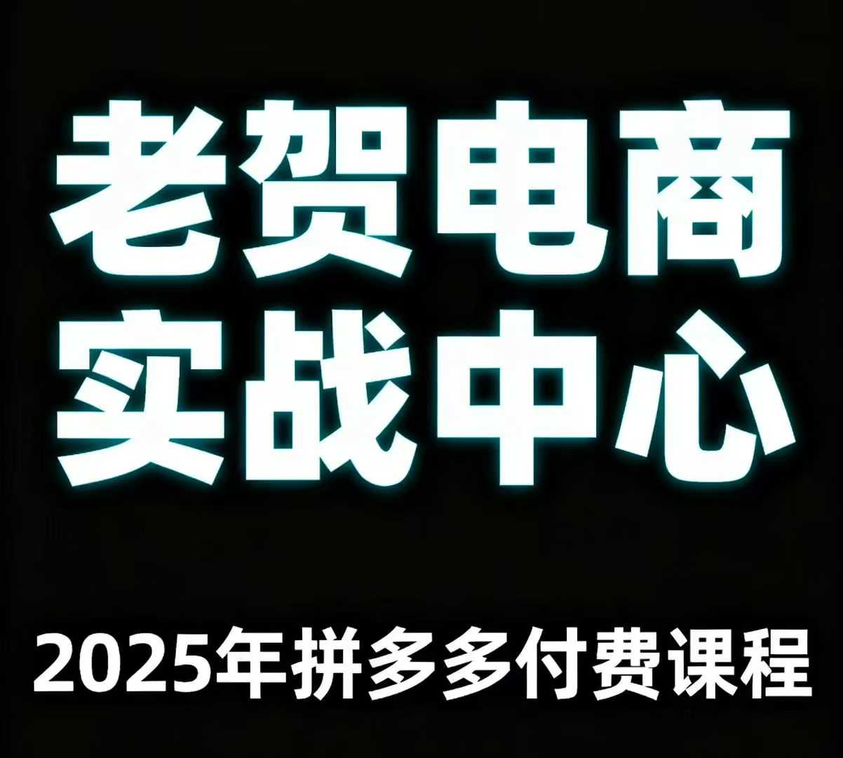 老贺电商2025年拼多多付费课程，用通俗易懂的方法告诉你多多怎么玩-千帆网赚
