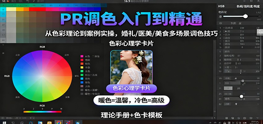 PR调色入门到精通：从色彩理论到案例实操，婚礼/医美/美食多场景调色技巧-千帆网赚