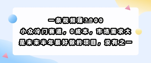 一条视频挣1k，小众冷门赛道，0成本，市场需求大，是未来半年最好做的项目，没有之一-千帆网赚