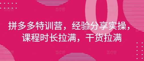 拼多多特训营，经验分享实操，课程时长拉满，干货拉满(更新25年4月)-千帆网赚