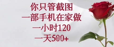 你只管截图，一部手机在家可以做，一小时120.一天5张+【揭秘】-千帆网赚