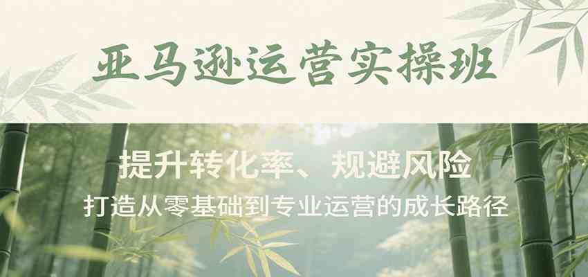 亚马逊运营实操班，提升转化率、规避风险，打造从零基础到专业运营的成长路径-千帆网赚