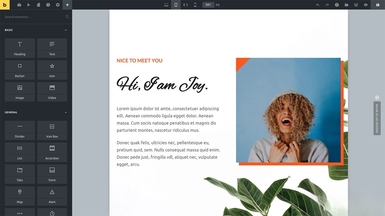 WordPress主题Bricks v1.9 破解版-千帆网赚