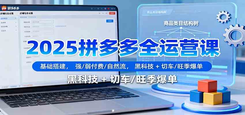 2025拼多多全运营课：基础搭建，强/弱付费/自然流，黑科技 + 切车/旺季爆单-千帆网赚