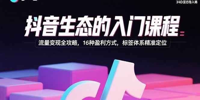 （15856期）抖音生态的入门课程：流量变现全攻略，16种盈利方式，标签体系精准定位-千帆网赚
