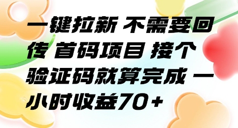 一键拉新 不需要回传 首码项目 接个验证码就算完成 一小时收益70+【揭秘】-千帆网赚