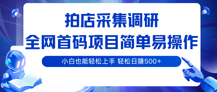 拍店采集调研，全网首码项目，简单易操作， 小白也能轻松上手，轻松日赚500+-千帆网赚