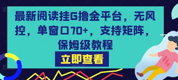 最新阅读挂G撸金平台，无风控，单窗口70+，支持矩阵，保姆级教程【揭秘】-千帆网赚