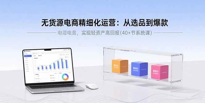 （15896期）无货源电商精细化运营：从选品到爆款，实现轻资产高回报(40+节系统课)-千帆网赚