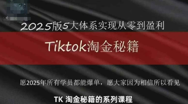 TikTok跨境2025淘金秘籍，2025TikTok从0到盈利变现-千帆网赚