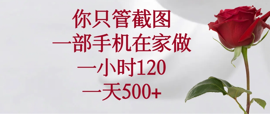 （14248期）你只管截图，一部手机在家做，一小时120，一天500+-千帆网赚