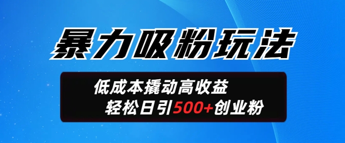 暴力吸粉玩法，日引500+精准创业粉，日变现轻松多张-千帆网赚