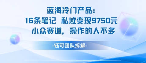 蓝海项目：16条笔记私域变现9750米小众赛道操作的人不多-千帆网赚