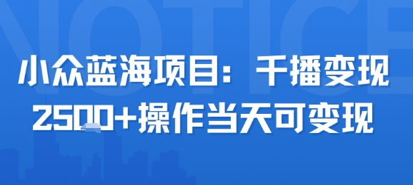 小众蓝海项目，千播变现2.5k+操作当天可变现-千帆网赚