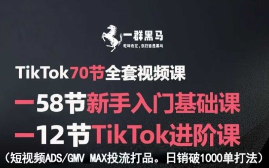 TikTok全套视频课，新手入门+进阶课，短视频ADS-GMV MAX投流打品，日销破1000单打法-千帆网赚