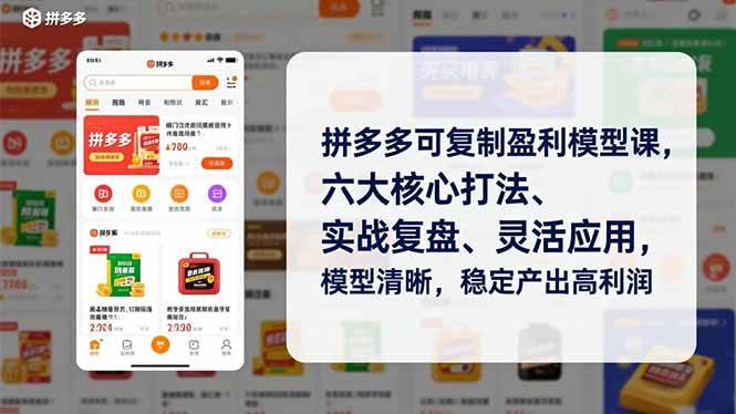 （16952期）拼多多可复制盈利模型课，六大核心打法、实战复盘、灵活应用，模型清晰，稳定产出高利润-千帆网赚