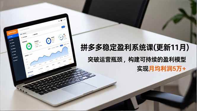 （16641期）拼多多稳定盈利系统课(更新11月)，突破运营瓶颈，构建可持续的盈利模型，实现月均利润5万+-千帆网赚