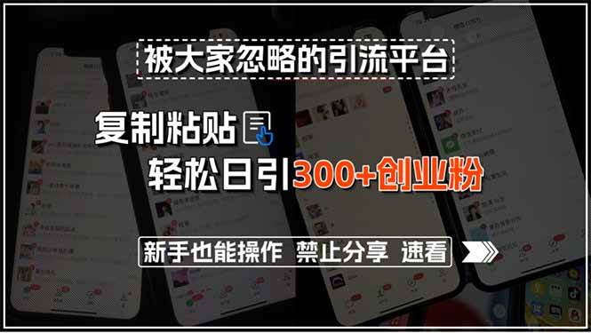 （15428期）被大家忽略的引流平台，复制粘贴轻松日引300+创业粉，新手也能操作，禁…-千帆网赚