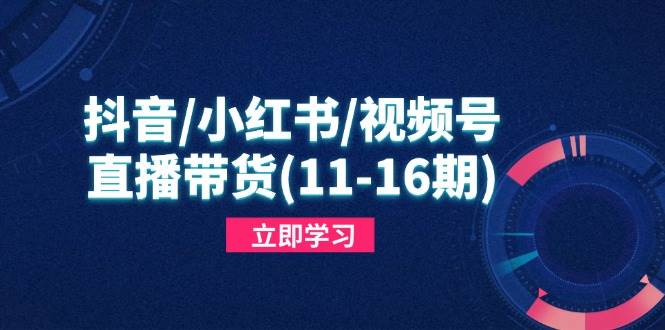 （14611期）抖音/小红书/视频号/直播带货(11-16期)，快速掌握平台规则，打造爆款内容-千帆网赚