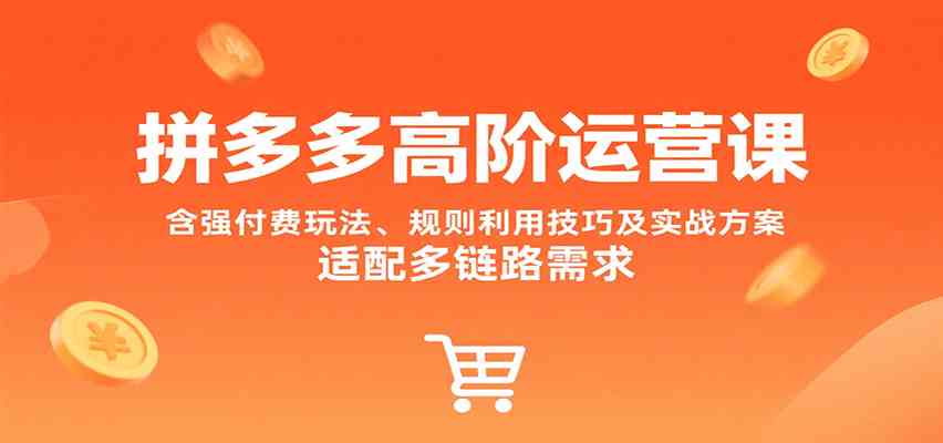 拼多多高阶运营课，含强付费玩法、规则利用技巧及实战方案，适配多链路需求-千帆网赚