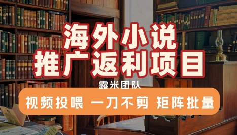 海外小说推广返利项目，视频投喂， 一刀不剪，矩阵批量-千帆网赚