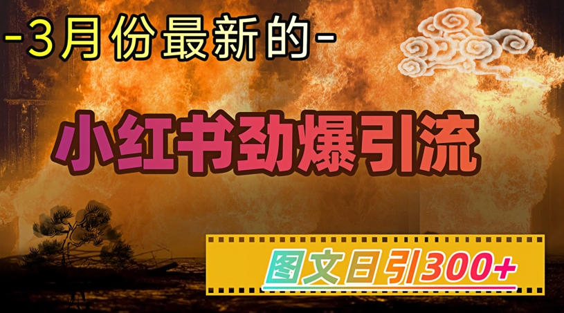 小红书超劲爆引流手段，图文日引300+轻松变现1W-千帆网赚