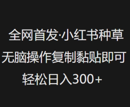 全网首发，小红书种草无脑操作，复制黏贴即可，轻松日入3张-千帆网赚