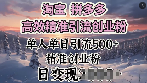 淘宝拼多多高效精准引流创业粉，单人单日引流500+创业粉，日变现多张-千帆网赚