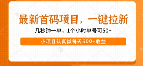 最新首码项目，操作最简单，收益高，一键拉新，1个小时单号可50+，小项目认真做每天5张+收益【揭秘】-千帆网赚