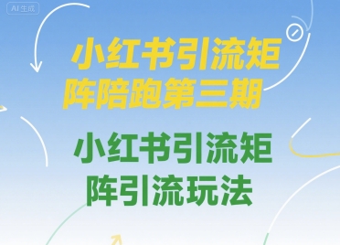 小红书引流矩阵陪跑第三期，小红书引流矩阵引流玩法-千帆网赚