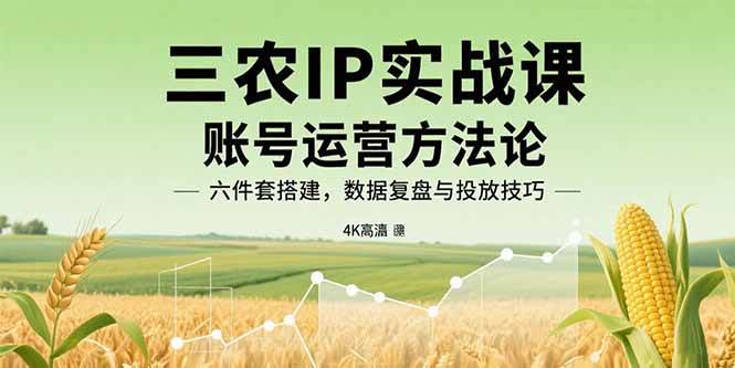 （15864期）三农IP实战课：账号运营方法论，六件套搭建，数据复盘与投放技巧-千帆网赚