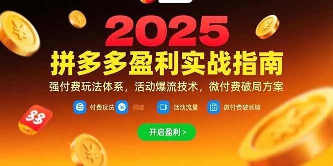 （15357期）拼多多盈利实战指南，强付费玩法，活动爆流技术，微付费破局方案(更新7月)-千帆网赚
