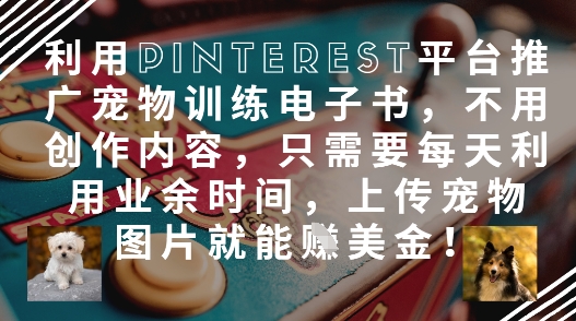 利用Pinterest平台推广宠物训练电子书，不用创作内容，只需要每天利用业余时间，上传宠物图片就能挣美金!-千帆网赚