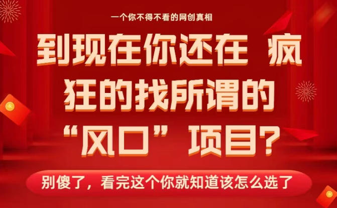 马上26年了，你还在找所谓的风口项目？别傻了，看完这个你全都懂了！【揭秘】-千帆网赚