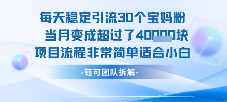 每天稳定引流30个人 当月变成超过了4个W项目流程非常简单适合小白-千帆网赚