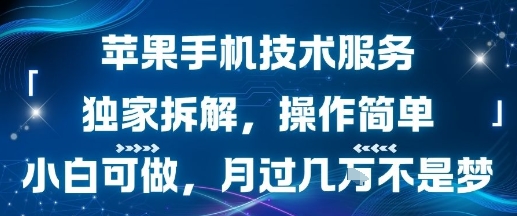 苹果手机技术服务，独家拆解，操作简单，小白可做，月过1W不是梦-千帆网赚