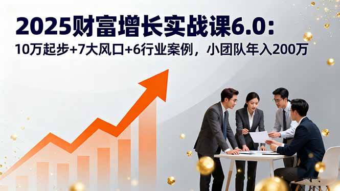（16004期）2025财富增长实战课6.0：10万起步+7大风口+6行业案例，小团队年入200万-千帆网赚