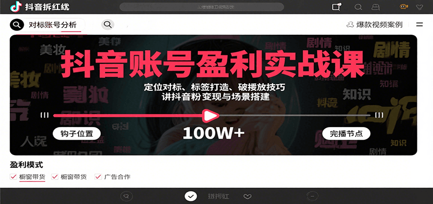 抖音账号盈利实战课，定位对标、标签打造、破播放技巧，讲涨粉变现与场景搭建-千帆网赚