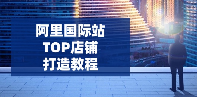 （14269期）阿里国际站TOP店铺打造教程：涵盖平台到高阶，解决运营难题，提升询盘-千帆网赚