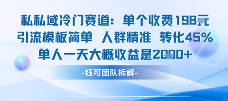 私域冷门赛道单个收费198米引流模板简单人群精准 45%的转化率单人一天大概收益多张-千帆网赚