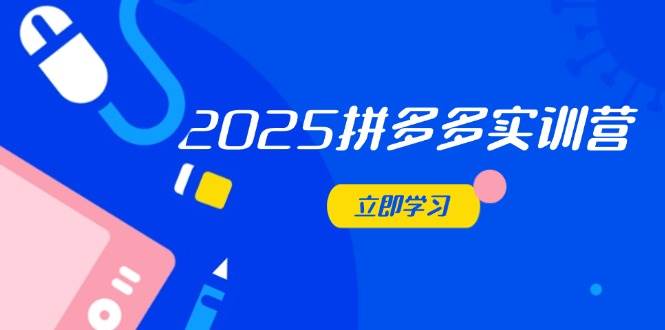 （14531期）2025拼多多实训营：深度剖析运营关键，助力电商人快速提升-千帆网赚