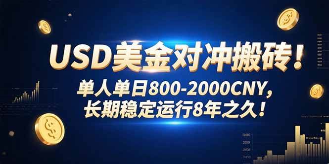 （15551期）USD美金对冲搬砖!单人单日800-2000CNY，长期稳定运行8年之久!-千帆网赚