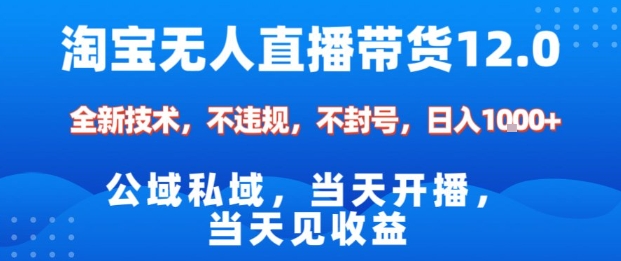淘宝无人直播12.0，公域私域技术，不封号，不违规布局双十一流量风口，日入1k（独家技术）【揭秘】-千帆网赚