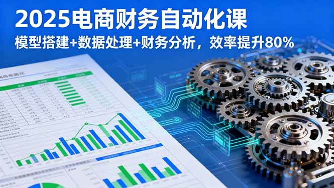 （16021期）2025电商财务自动化课，模型搭建+数据处理+财务分析，效率提升80%-千帆网赚