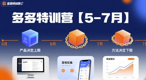 多多特训营【5-7月】产品决定上限，方法决定下限，各种玩法技巧落地实操-千帆网赚