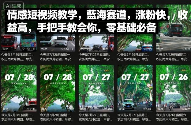 情感短视频教学，蓝海赛道，涨粉快，收益高，手把手教会你，零基础必备-千帆网赚