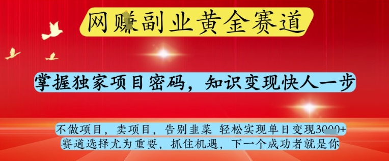 网创副业黄全赛道，掌握独家项目密码，知识变现快人一步，告别韭菜轻松实现单日变现1k+【揭秘】-千帆网赚