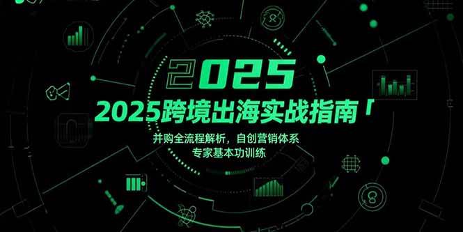 （15503期）2025跨境出海实战指南，并购全流程解析，自创营销体系，专家基本功训练-千帆网赚